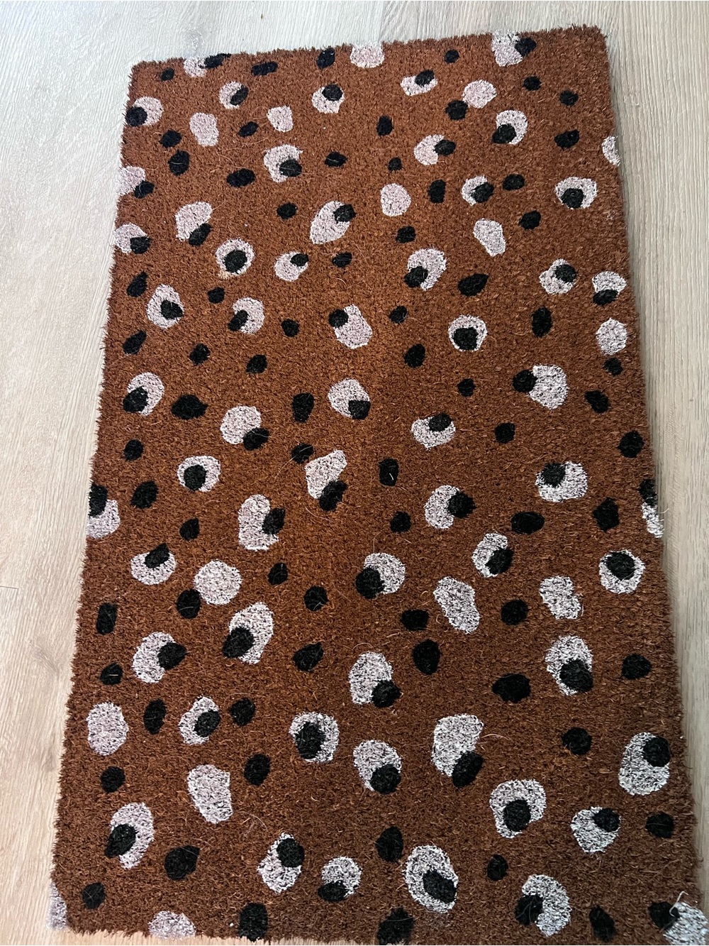 Cost Plus World Market Brown and Black Leopard Spot Doormat